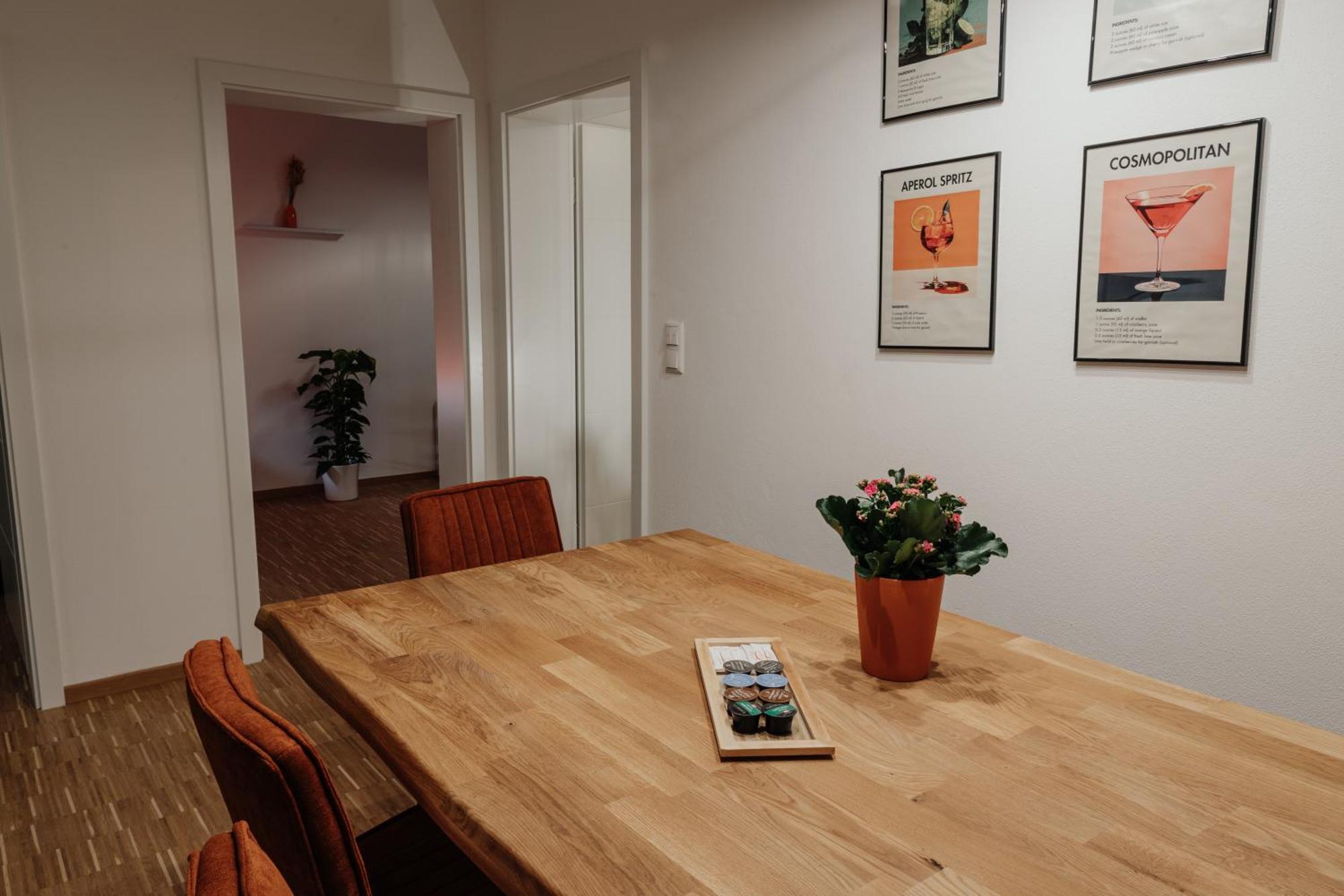 Passaus Motto Appartements! Solo - Paerchen - Familien - Gruppen Bilik gambar